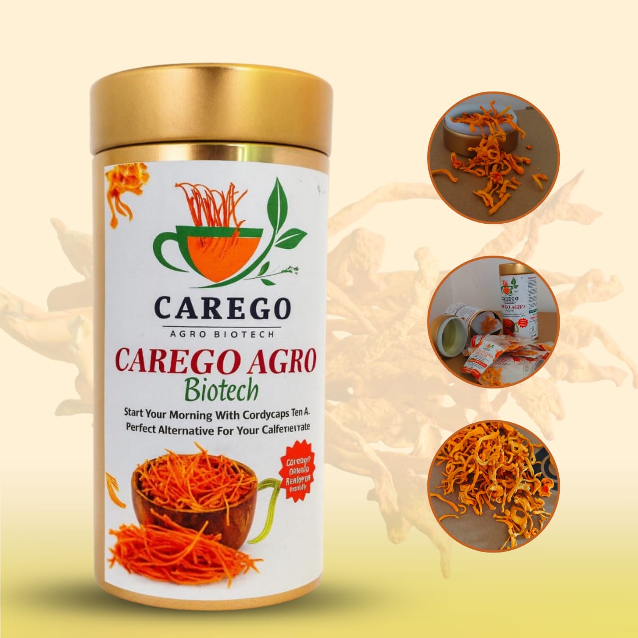 Cordyceps Keedajadi | Keedajadi Cordyceps Militaris